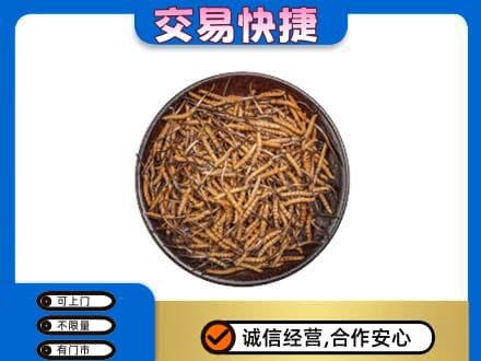 长春九台区回收散虫草